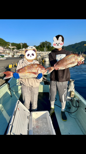 マダイの釣果