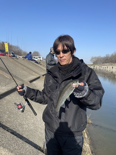 ニジマスの釣果