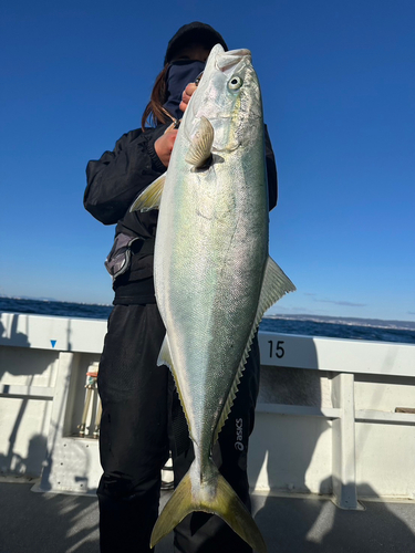 ワラサの釣果