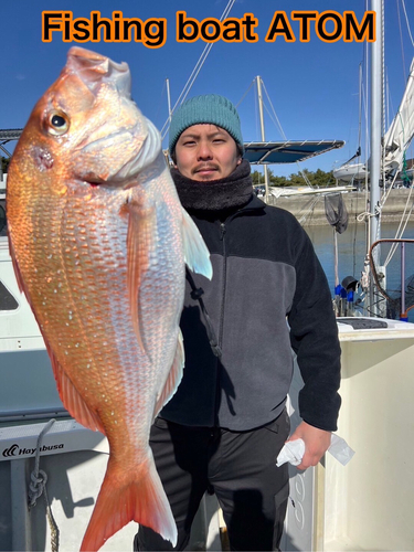 マダイの釣果