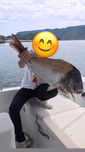 タイの釣果