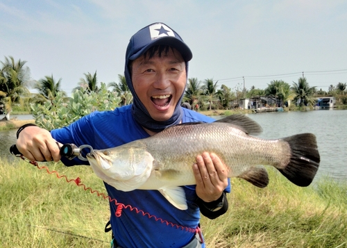 バラマンディの釣果