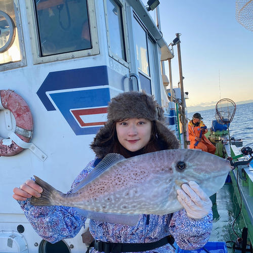 ウスバハギの釣果