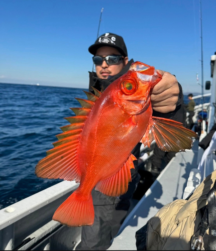 キントキダイの釣果