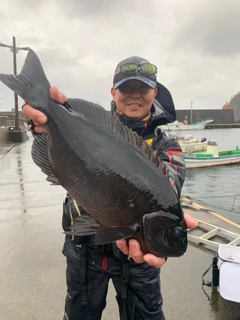 クチブトグレの釣果