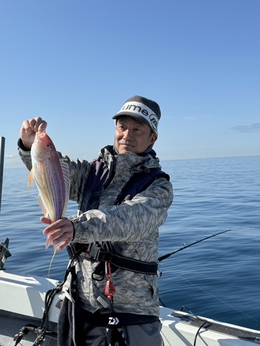 イトヨリダイの釣果