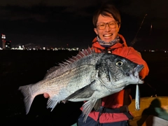 クロダイの釣果