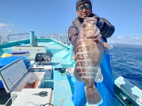 マハタの釣果