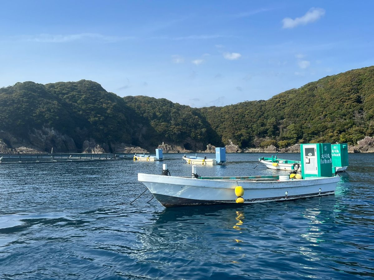 おさるまんさんの釣果 3枚目の画像