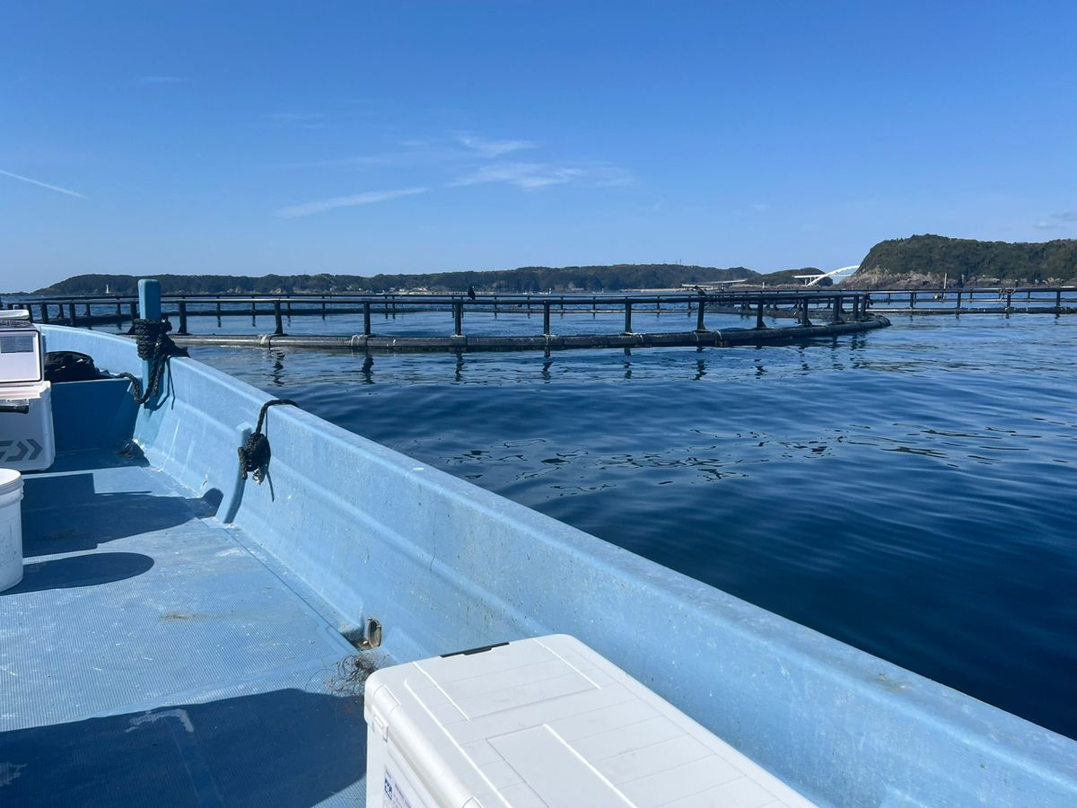 おさるまんさんの釣果 3枚目の画像