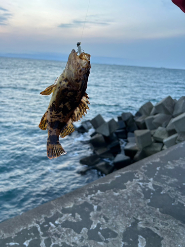 釣果