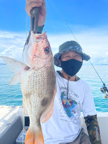 タイの釣果