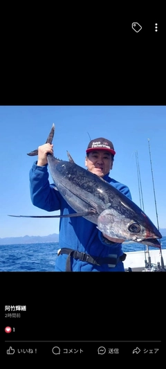 ビンチョウマグロの釣果