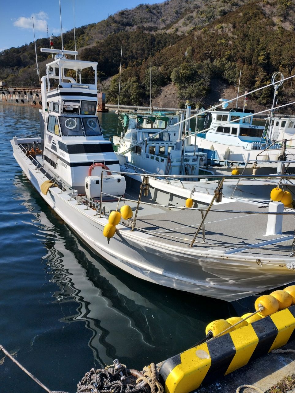 信竿(しんかん)さんの釣果 3枚目の画像