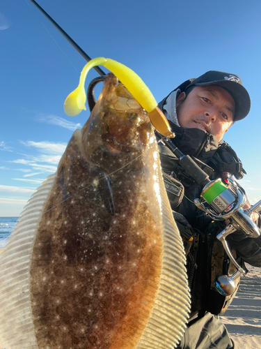 ヒラメの釣果