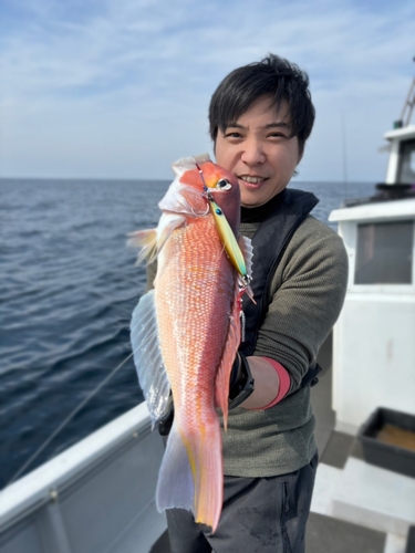 アマダイの釣果