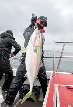 ブリの釣果