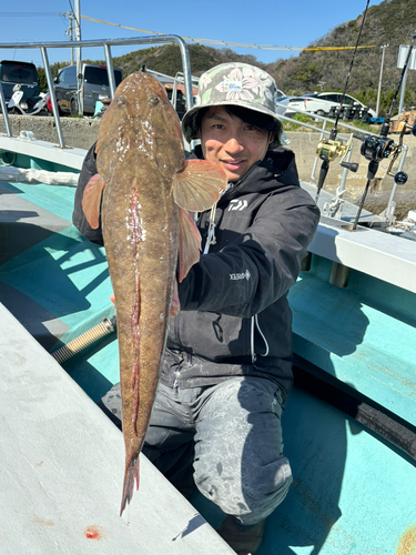 マゴチの釣果