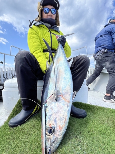 ビンチョウマグロの釣果