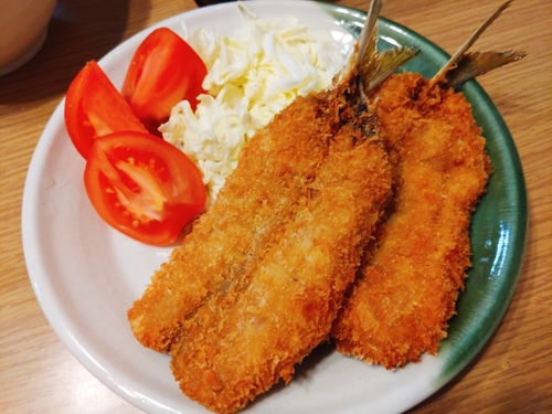 カタボシイワシの釣果