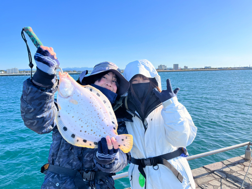 ホシガレイの釣果