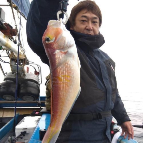 アマダイの釣果