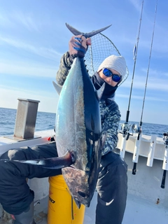 ビンチョウマグロの釣果