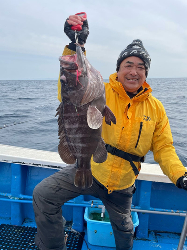 イズカサゴの釣果