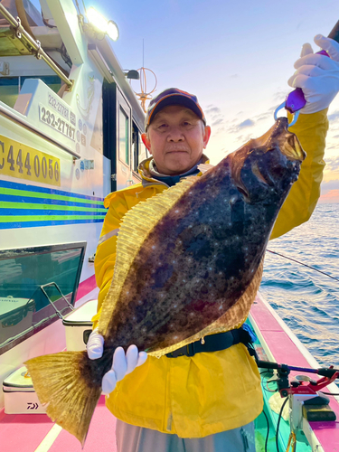 ヒラメの釣果