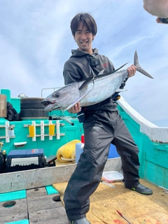 ビンチョウマグロの釣果