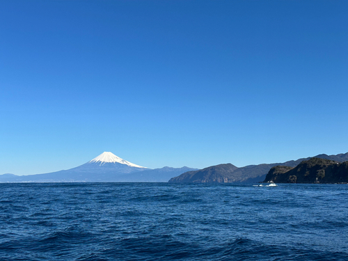 ウメイロの釣果