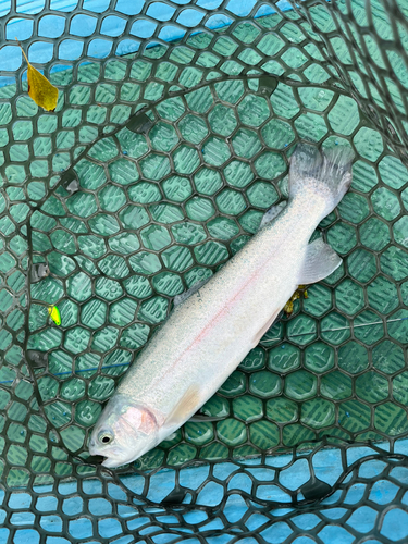 FISHING LAND 宝寺緑地