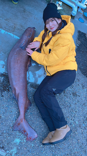 モミジザメの釣果