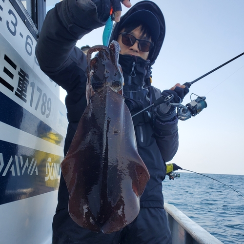 アオリイカの釣果