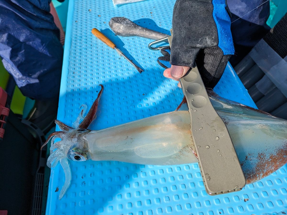 釣りバカじいさんさんの釣果 2枚目の画像