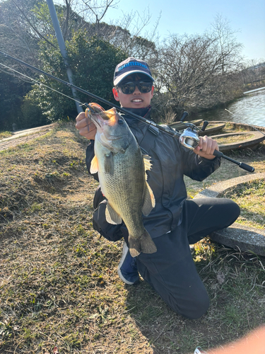 アラカブの釣果