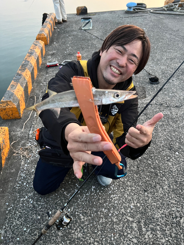 アカカマスの釣果