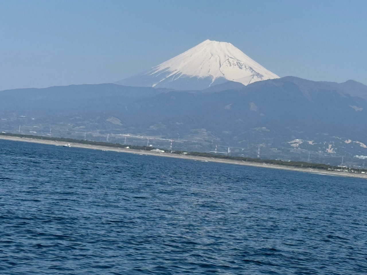 シロアマダイ