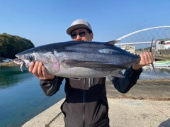 ビンチョウマグロの釣果