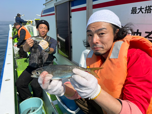 マアジの釣果