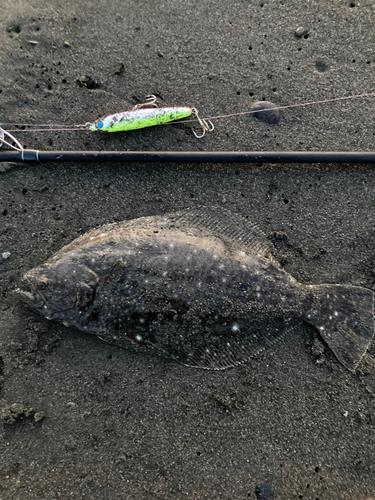 ソゲの釣果