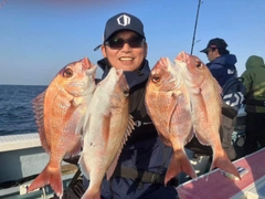 マダイの釣果