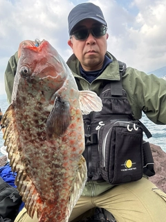 ブダイの釣果