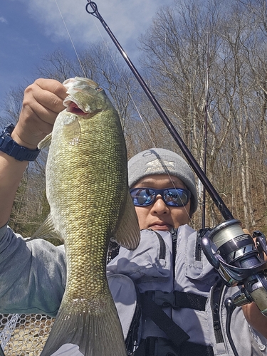 スモールマウスバスの釣果