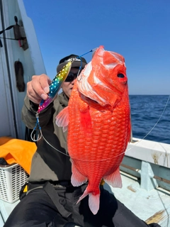 エビスダイの釣果