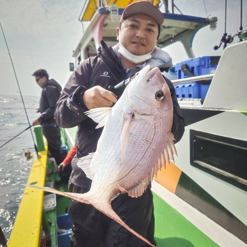 マダイの釣果