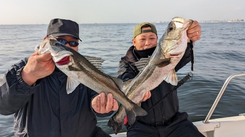 シーバスの釣果