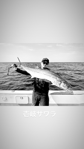 サワラの釣果