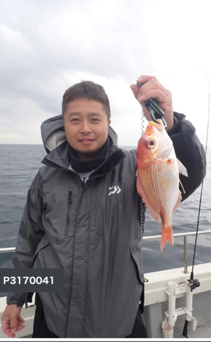 レンコダイの釣果