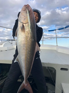 カンパチの釣果